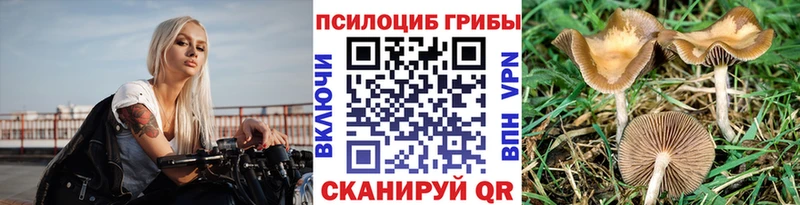 Галлюциногенные грибы Magic Shrooms  закладки  МЕГА ссылки  это телеграм  Кувшиново 