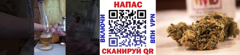 где можно купить   Кувшиново  МЕГА рабочий сайт  Марихуана White Widow 